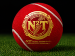 Hard Tennis Cricket Ball – Red