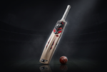 Kashmir Willow Cricket Bat – Boys