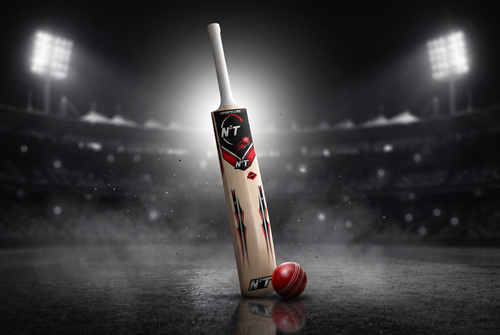 Kashmir Willow Cricket Bat – Youth