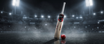 English Willow Grade 1 Bat – Adult